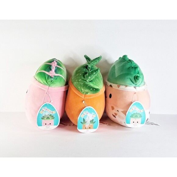 NWT SQUISHMALLOWS Set of 3 Plush Succulent Toys Abena Oz Afiyah 9 10 in Plants - Picture 2 of 12
